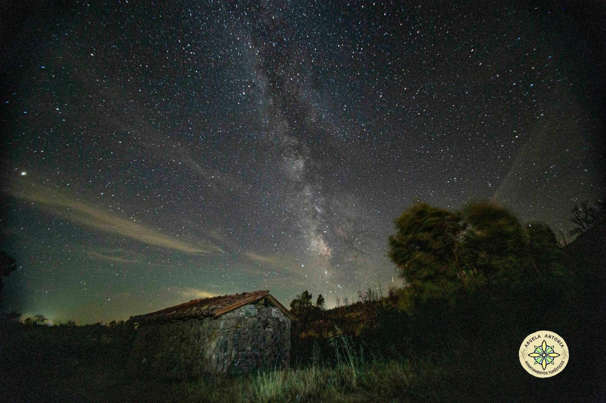 Апартаменты At La Abuela Antonia-La Casina Торре-де-Дон-Мигель Экстерьер фото